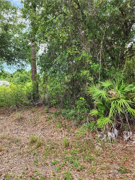 1114 Mckinley Ave Property Photo 1