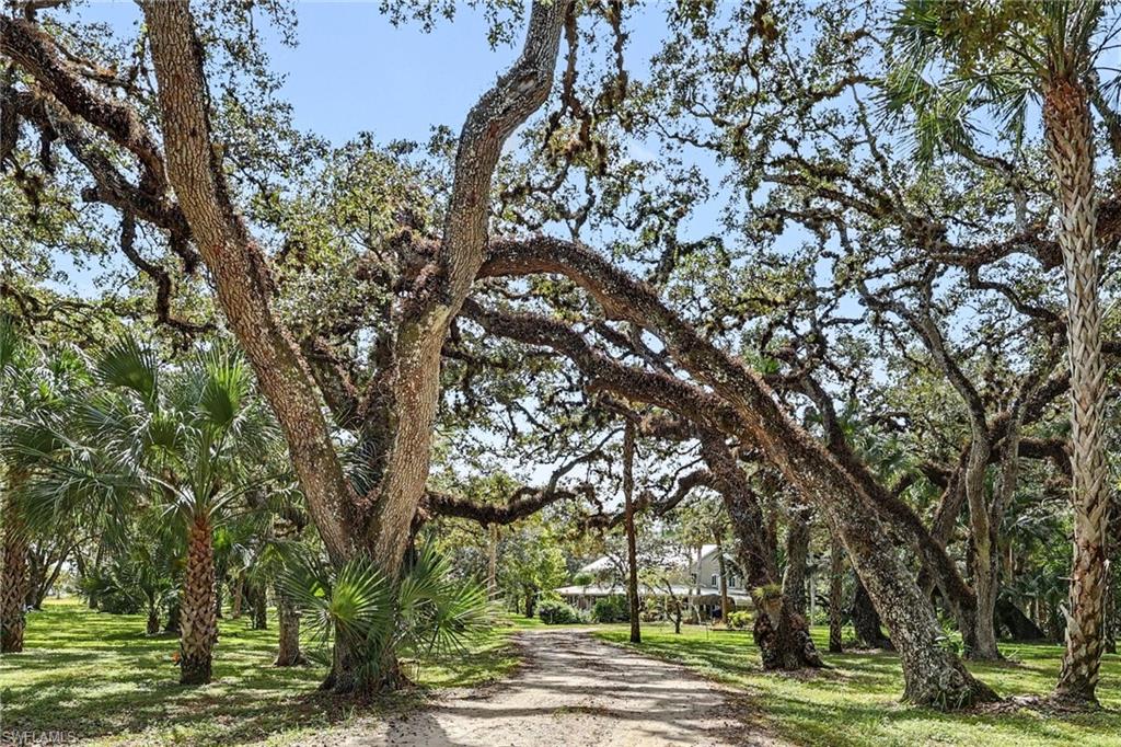 3079 Frontier Cir Property Photo 49