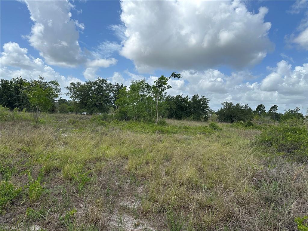 908 Panda Dr Property Photo 2