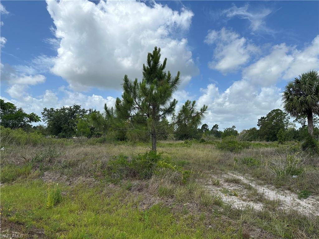 908 Panda Dr Property Photo 3
