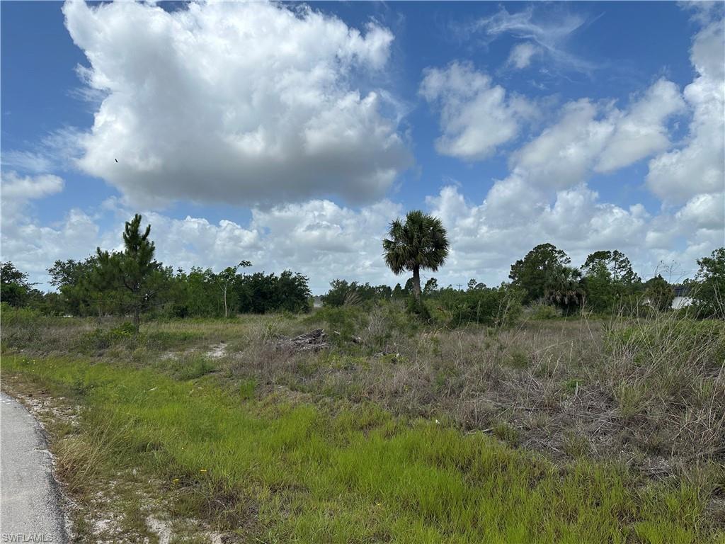 908 Panda Dr Property Photo 7
