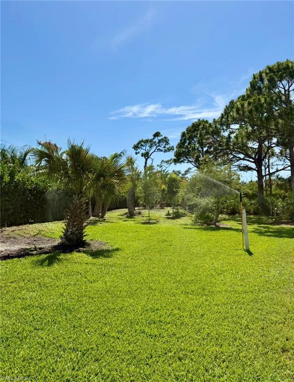 6690 Pineland Rd Property Photo 8