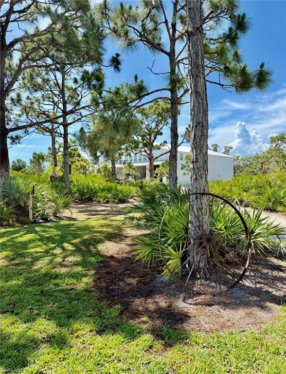 6690 Pineland Rd Property Photo 9