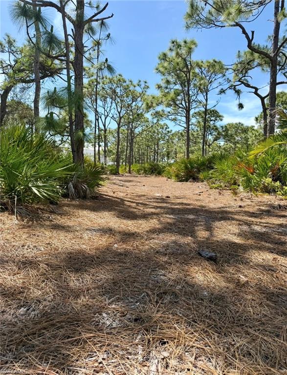 6690 Pineland Rd Property Photo 10