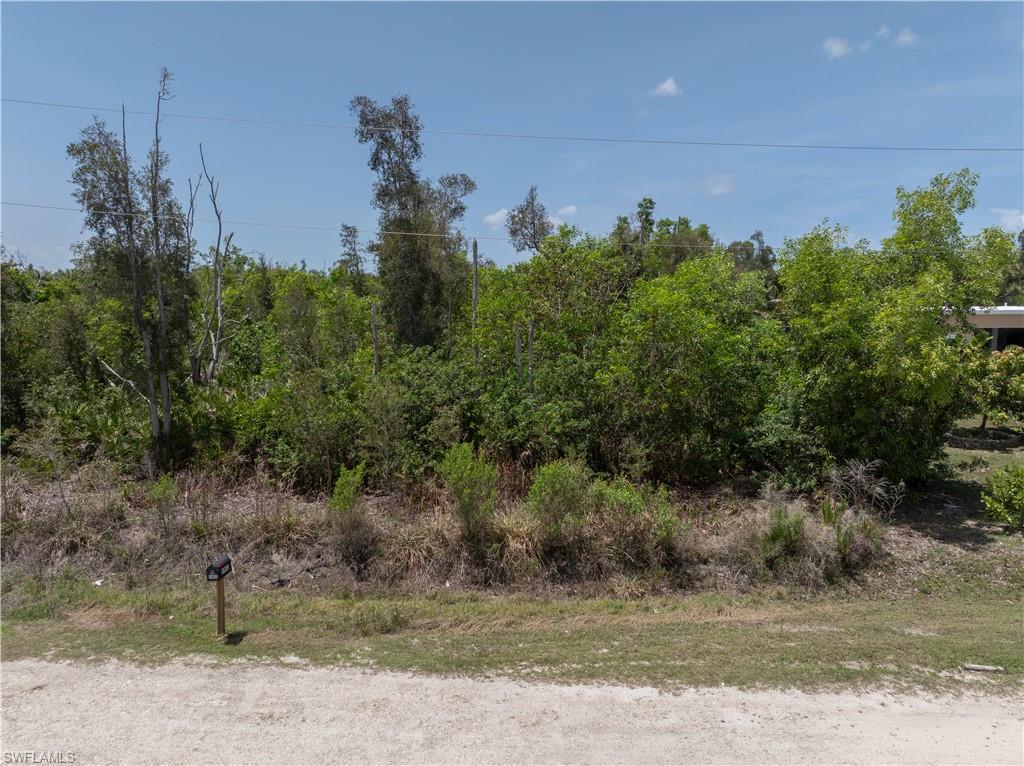 5951 Royal Okley LN Property Photo 1