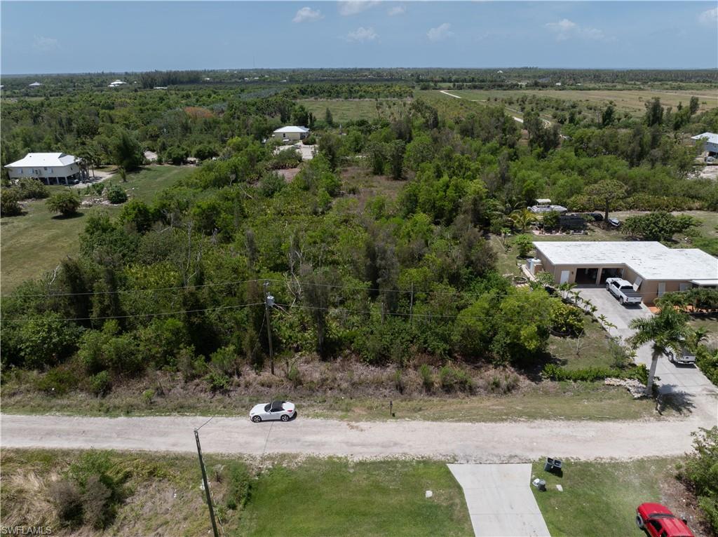 5951 Royal Okley Ln Property Photo 8