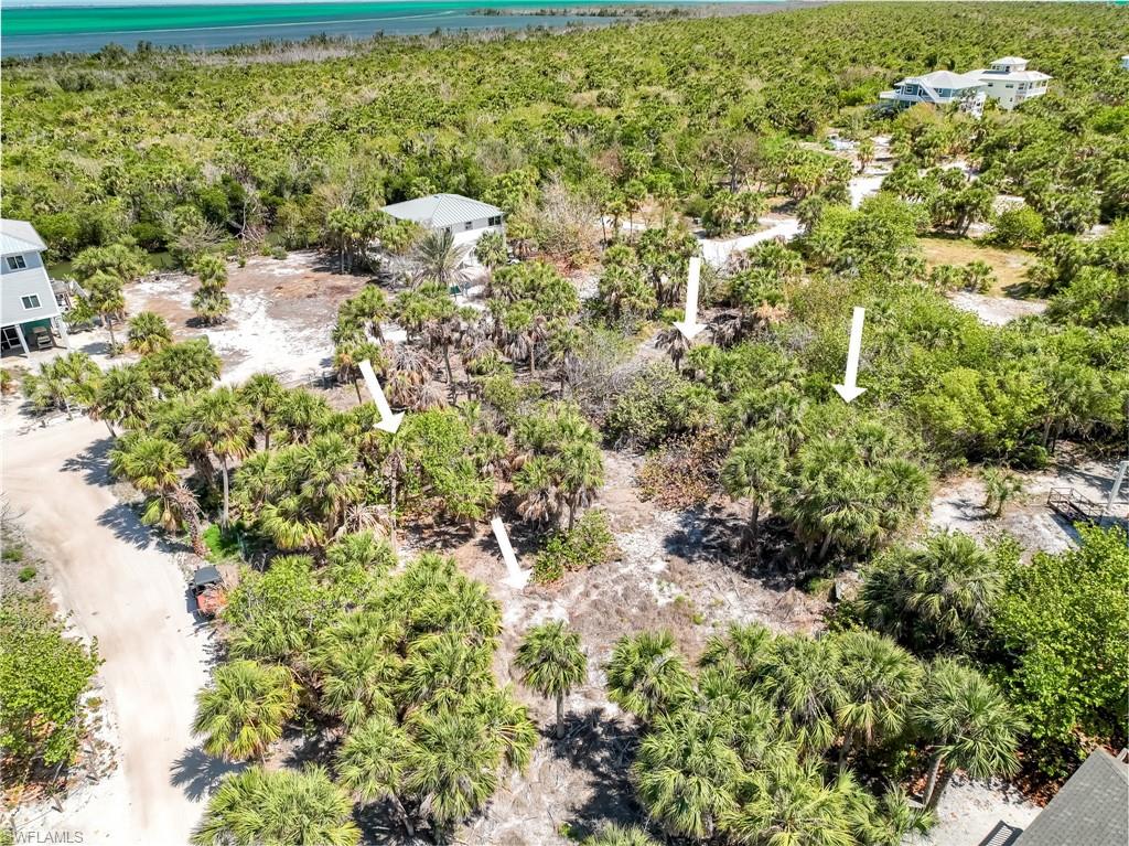 4430 Conch Shell Dr Property Photo 22