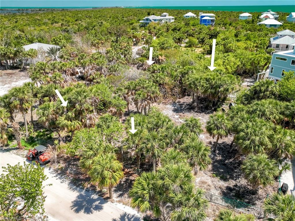 4430 Conch Shell Dr Property Photo 23