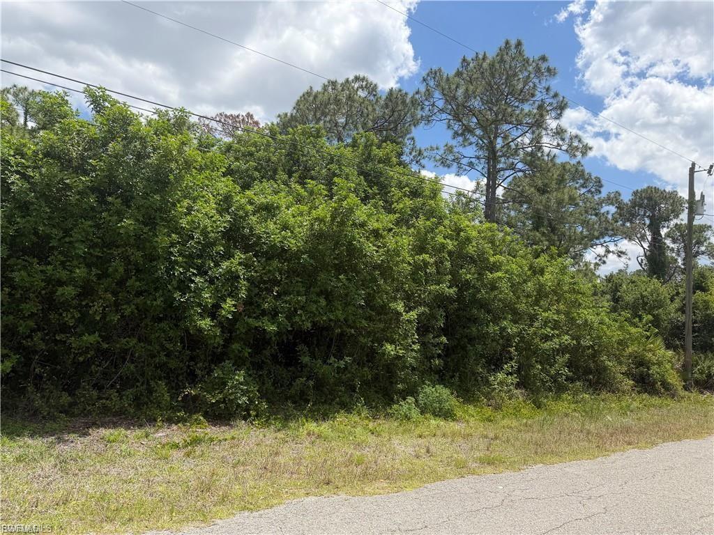 1142 Sunrise Blvd Property Photo 2