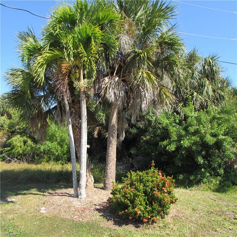 4072 Stringfellow Rd Property Photo 5