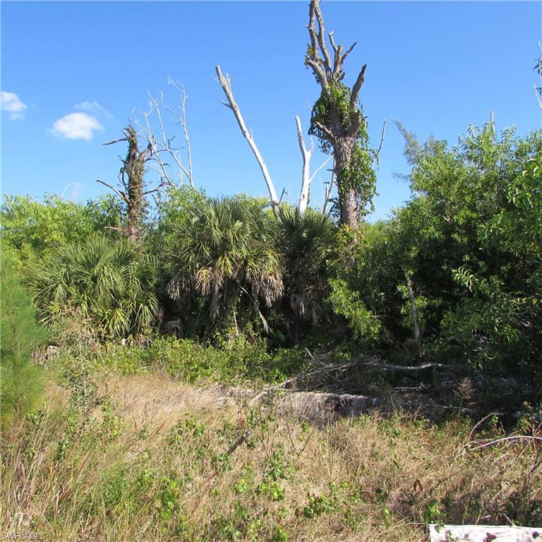 4072 Stringfellow Rd Property Photo 8