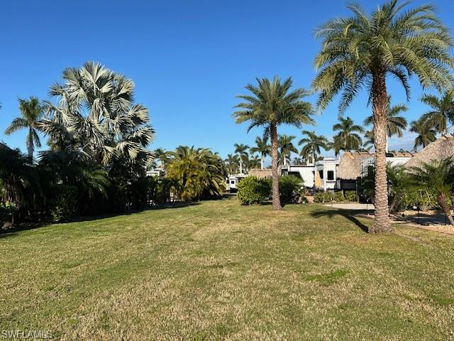 10232 Meadow Beauty Trl Property Photo 36
