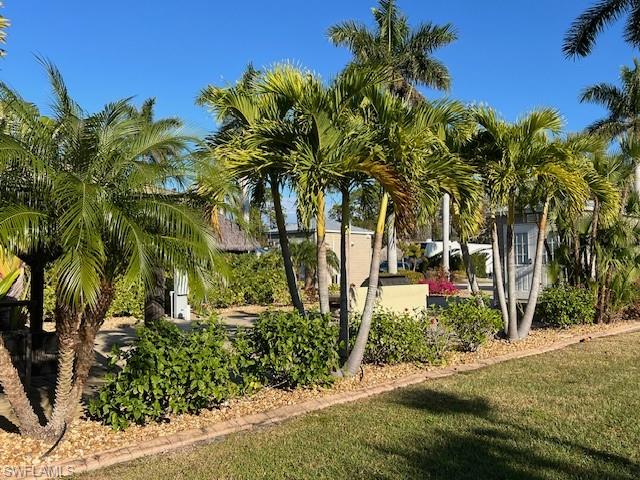 10232 Meadow Beauty Trl Property Photo 38
