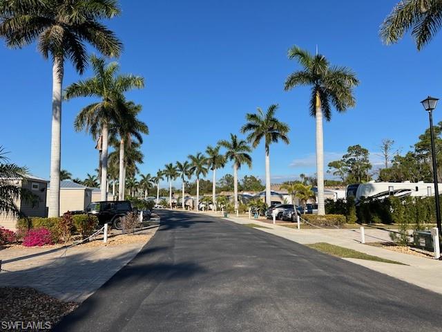 10232 Meadow Beauty Trl Property Photo 39