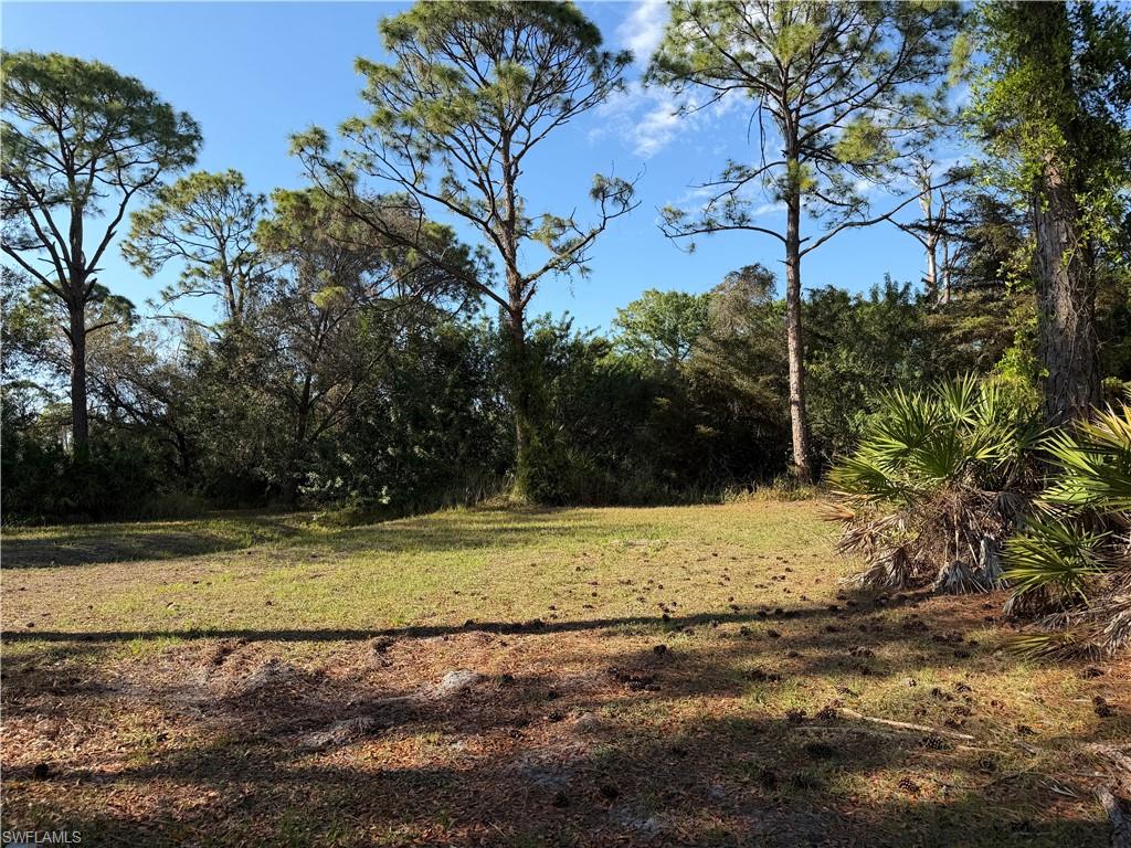 17090 Shady Grove Ln Property Photo 3