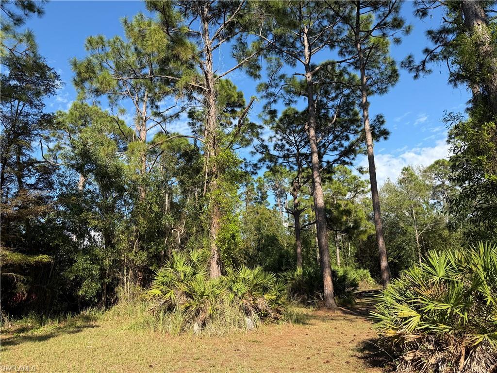 17090 Shady Grove Ln Property Photo 4