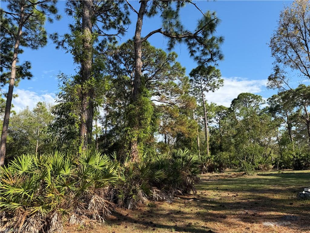 17090 Shady Grove Ln Property Photo 5