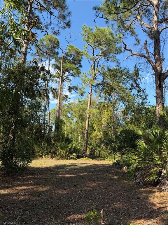 17090 Shady Grove Ln Property Photo 6