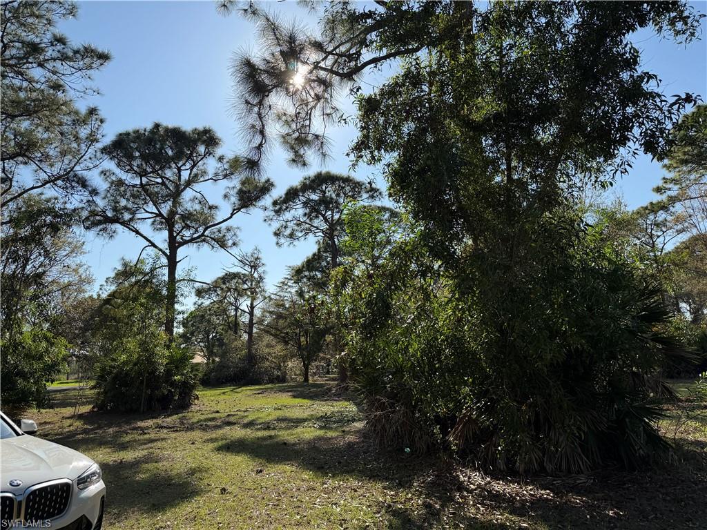 17090 Shady Grove Ln Property Photo 7