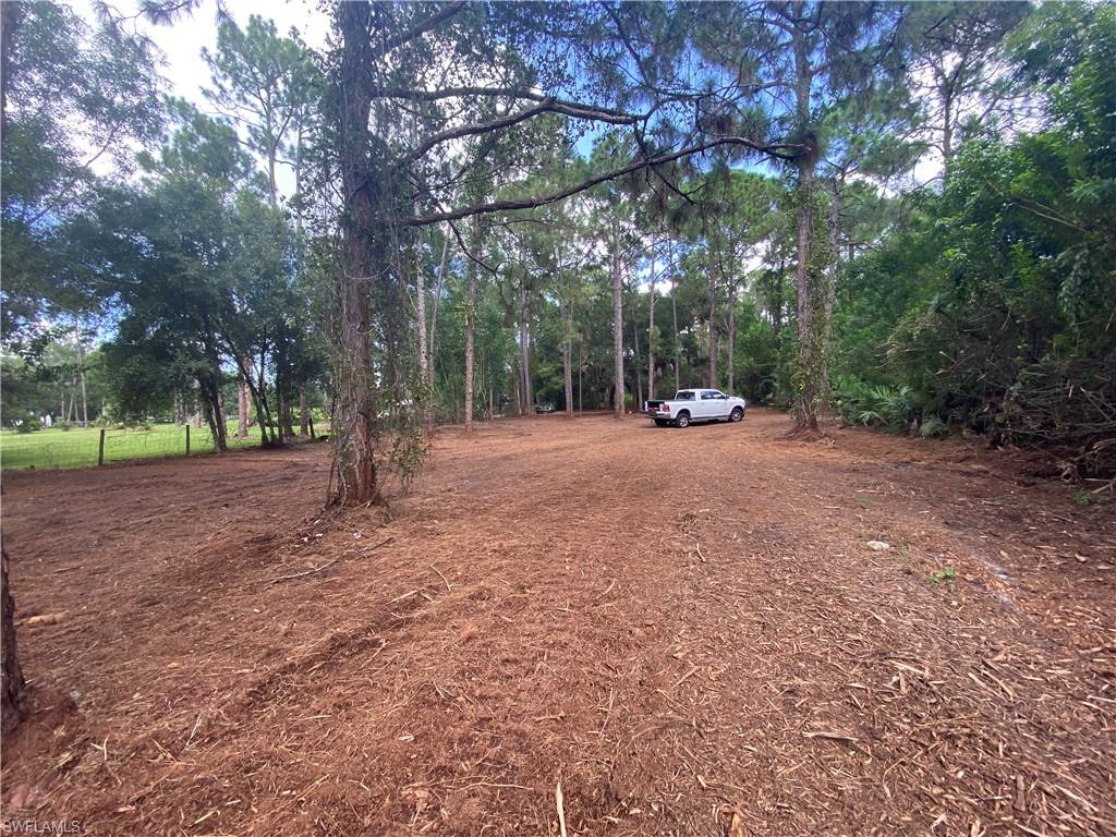 17090 Shady Grove Ln Property Photo 8