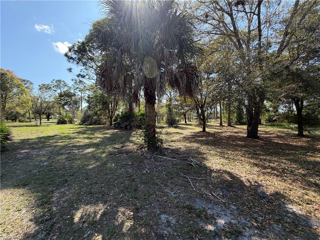 17090 Shady Grove Ln Property Photo 9