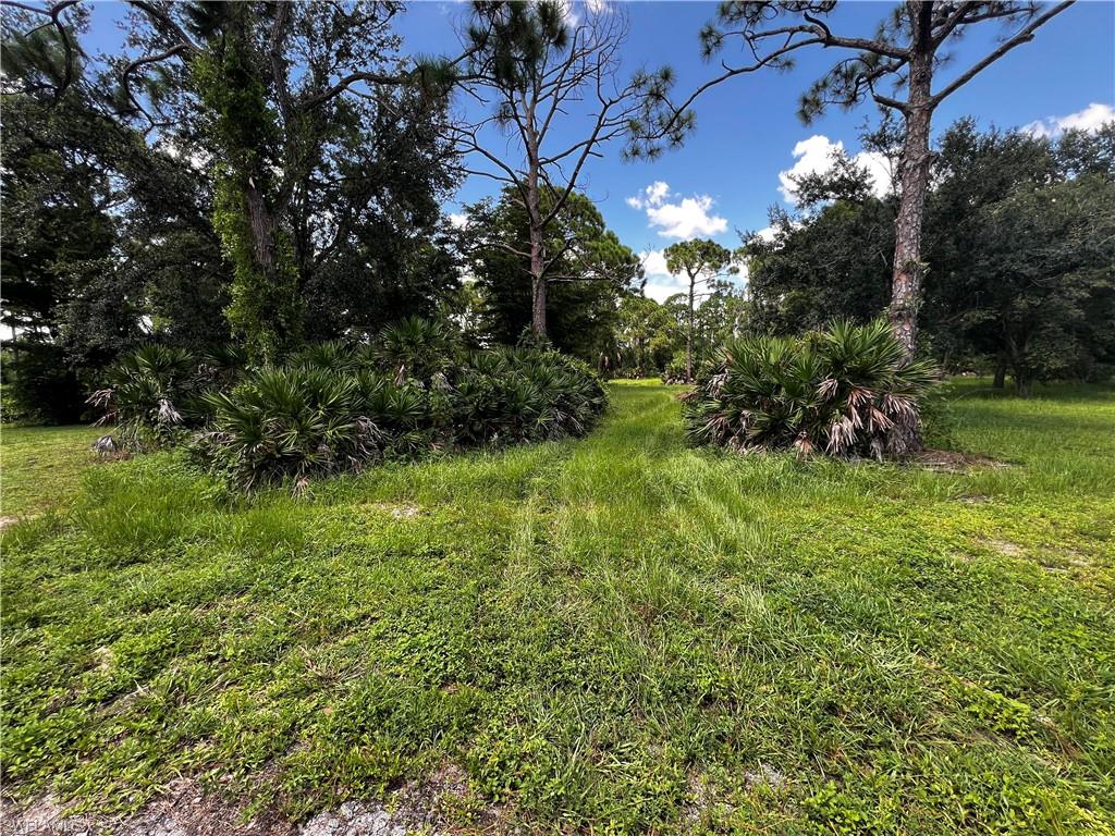 17090 Shady Grove Ln Property Photo 11