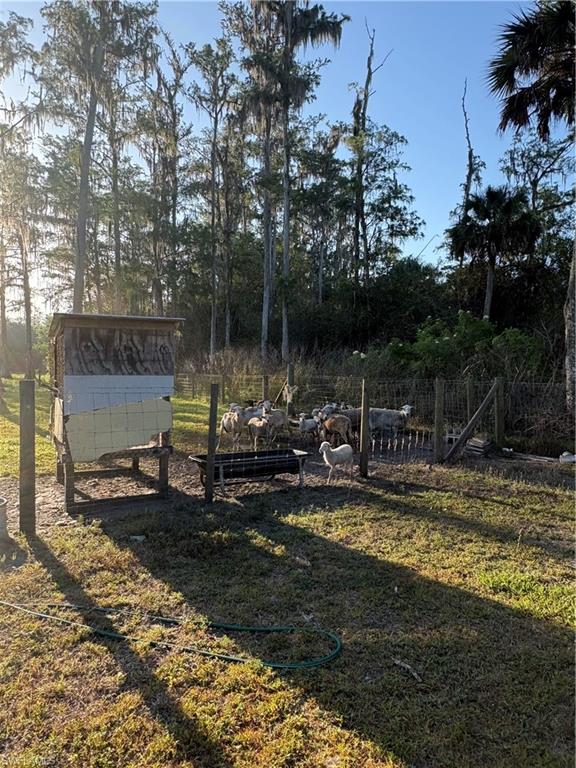 855 N Datil St Property Photo 18