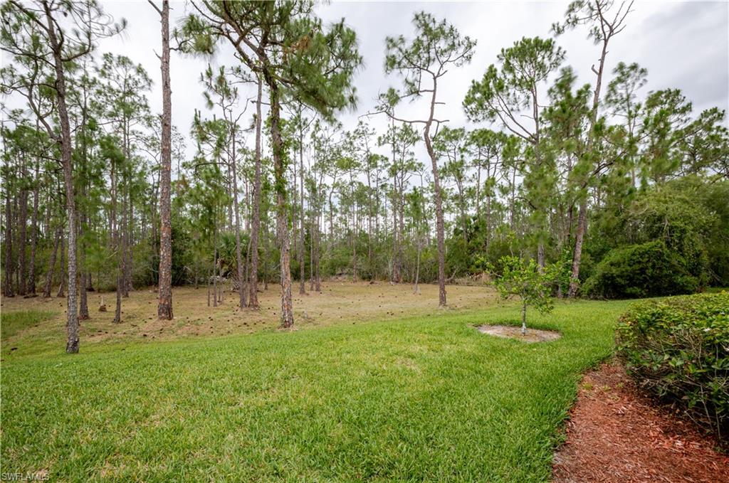 20771 Mystic Way Property Photo 23