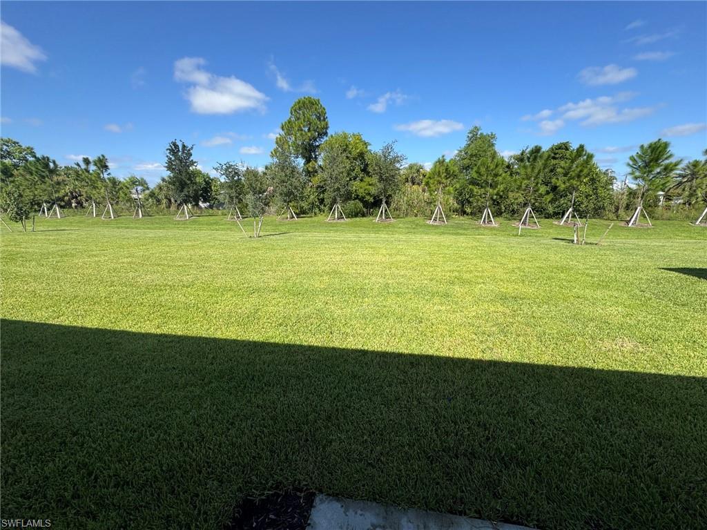 17313 Cantu Ct Property Photo 34