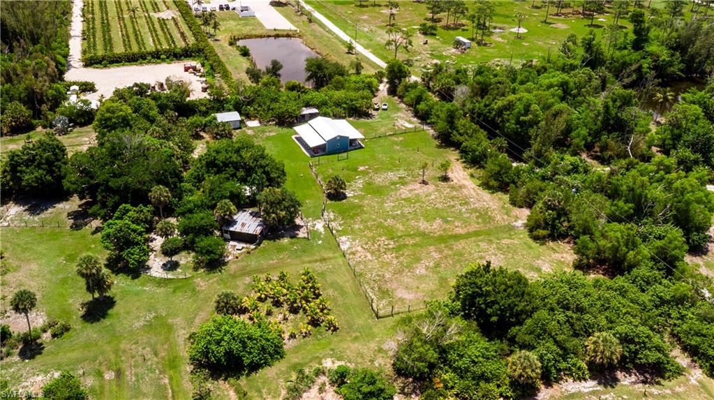 7697 Beach Daisy Ln Property Photo 31