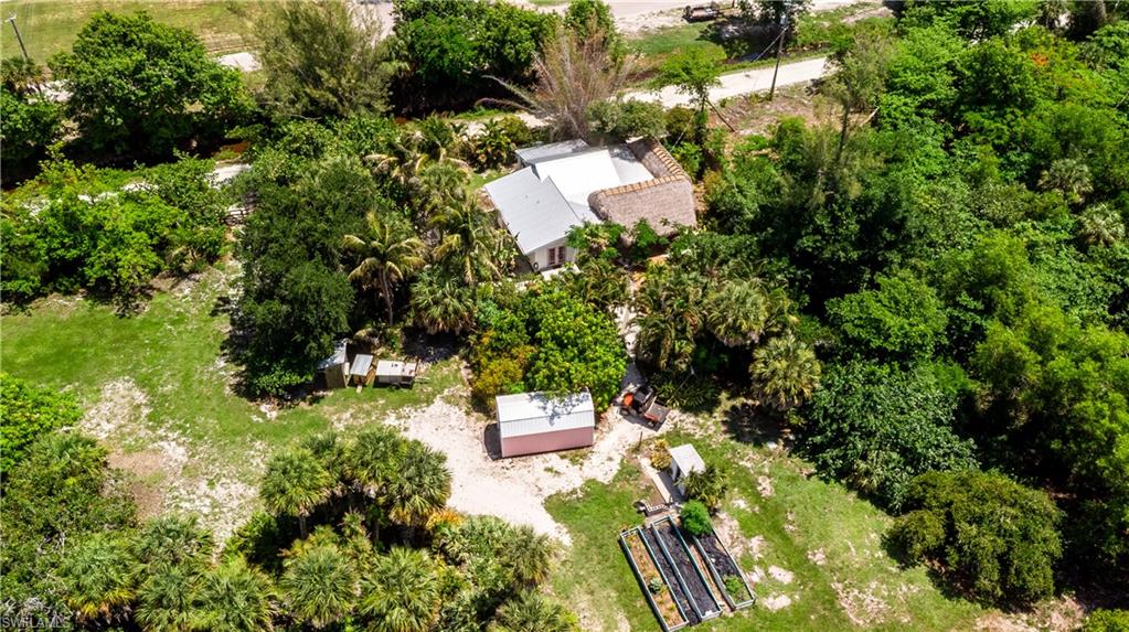 7697 Beach Daisy Ln Property Photo 32
