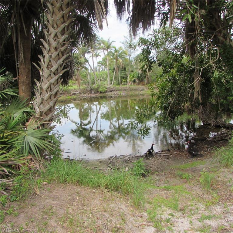 7697 Beach Daisy Ln Property Photo 35