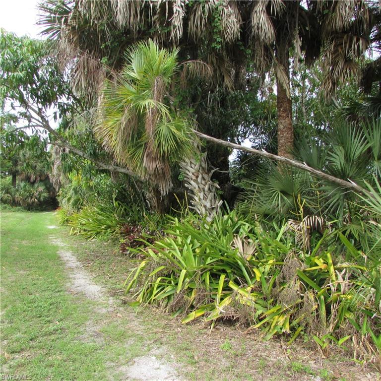 7697 Beach Daisy Ln Property Photo 37