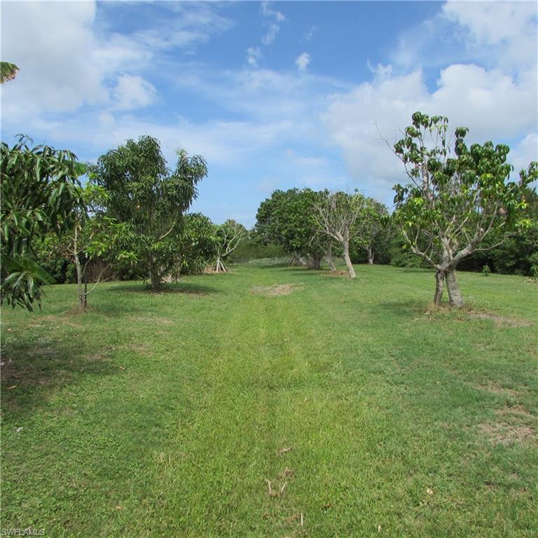 7697 Beach Daisy Ln Property Photo 48