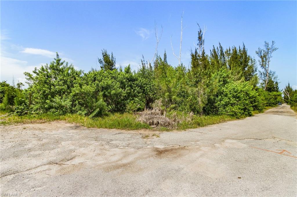 4235 Berkshire Rd Property Photo 9