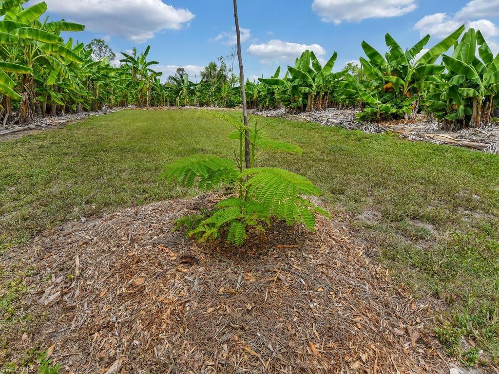 50436 Bermont Rd Property Photo 23