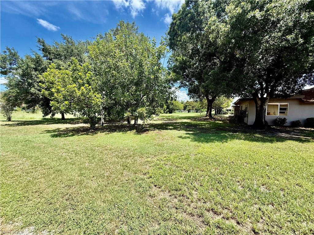 217 Oaklawn Ct Property Photo 6