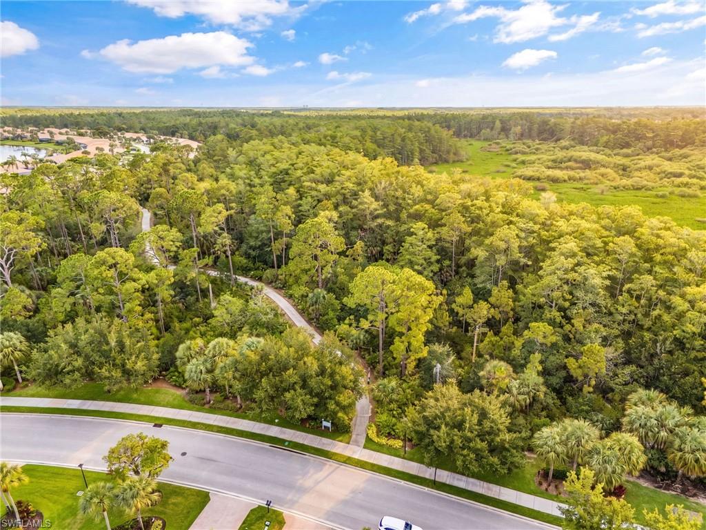 10105 Colonial Country Club Blvd 2504 Property Photo 28