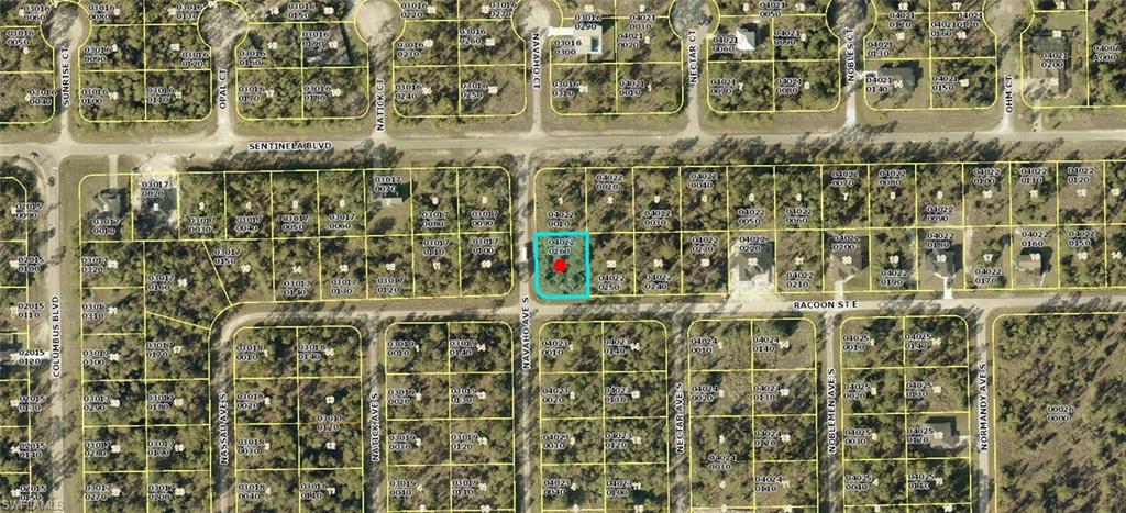 1223 Racoon ST E Property Photo 1