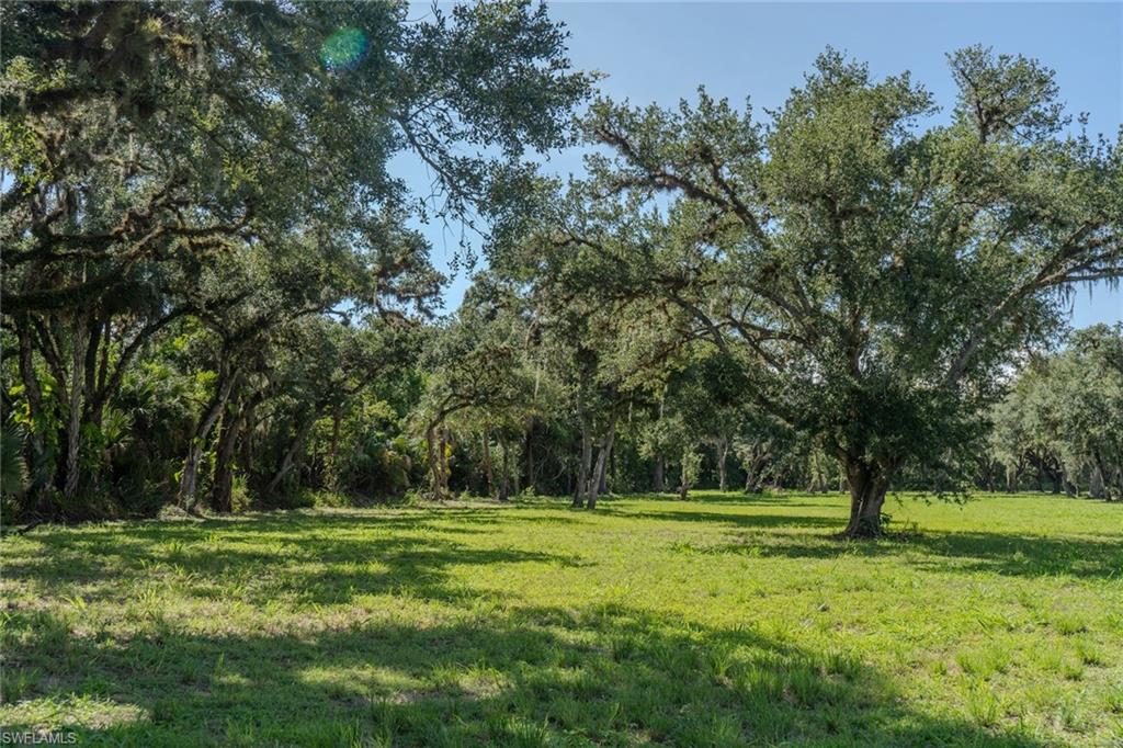 5247 County Rd 78 Property Photo 14