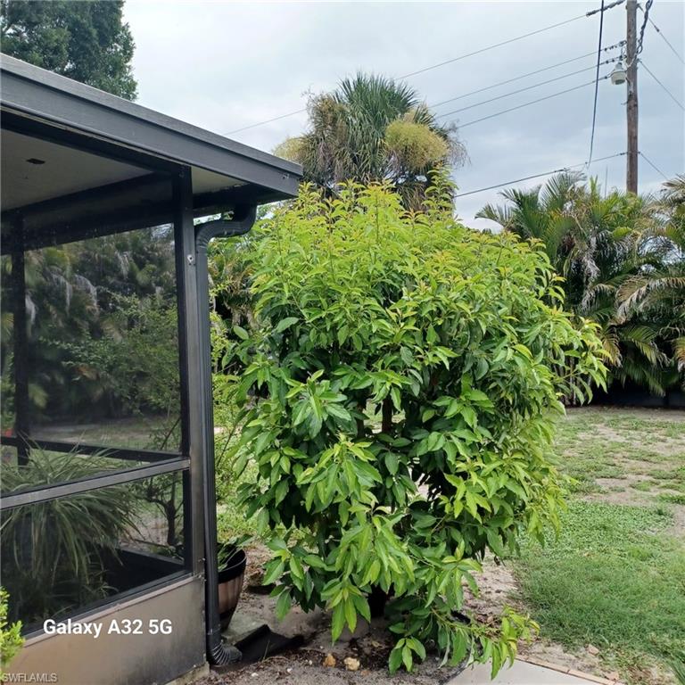 2324 Caladium Rd Property Photo 39