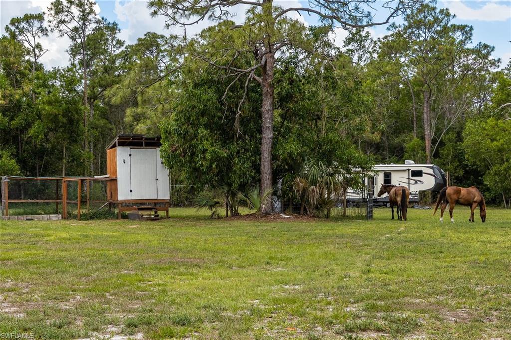 11790 Fox Hill Rd Property Photo 49