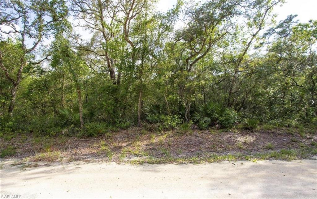 34287 Berryhill Dr Property Photo 5
