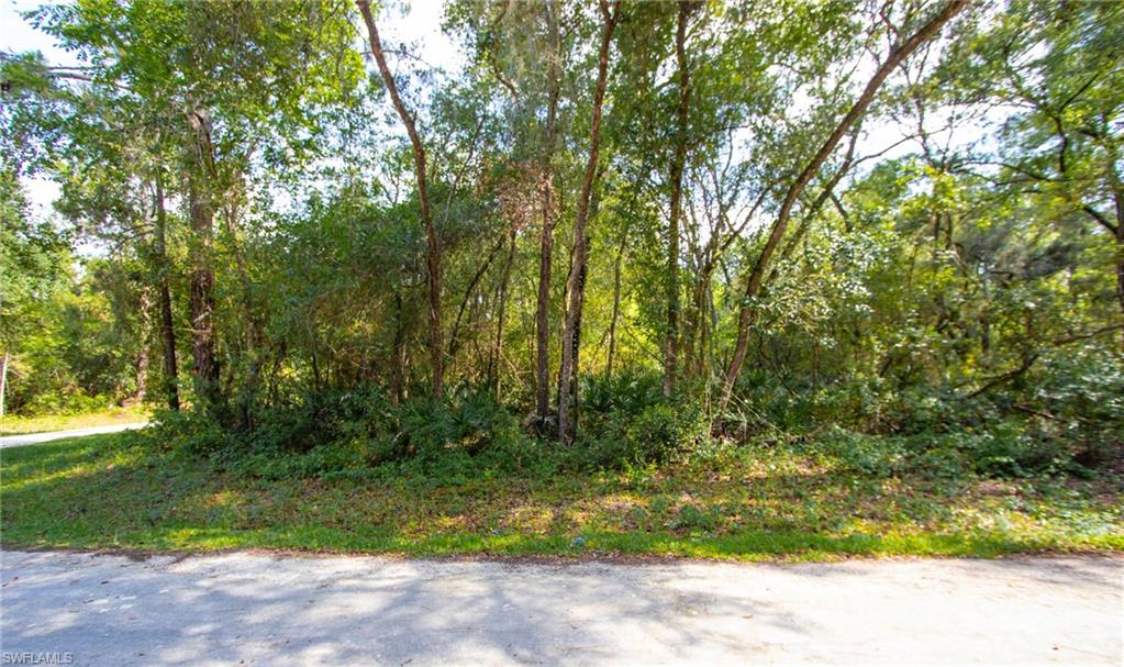 Packingham Dr Property Photo 2
