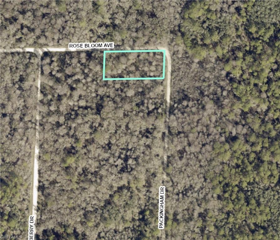 33464 Packingham DR Property Photo 1