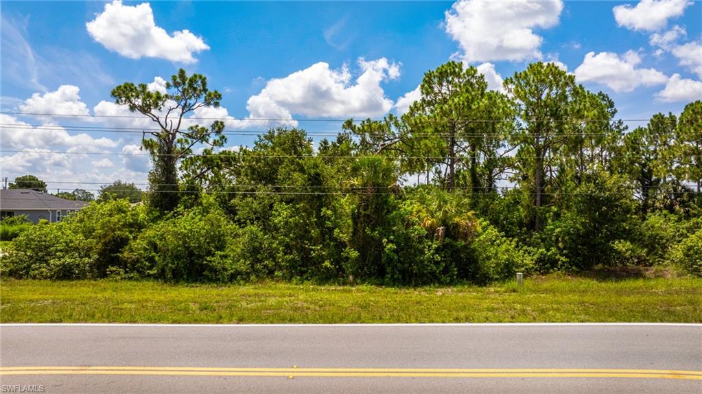 560/562 Alabama Rd S Property Photo 3