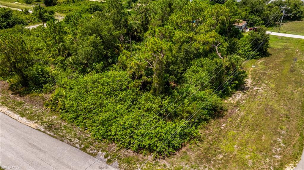 560/562 Alabama Rd S Property Photo 6