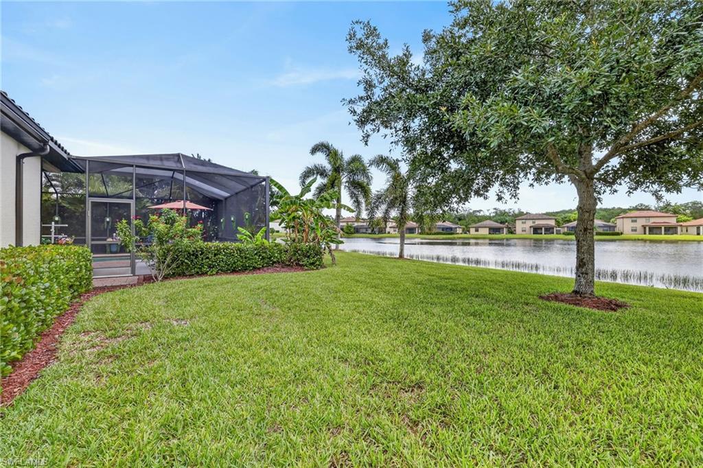10975 Longwing Dr Property Photo 43