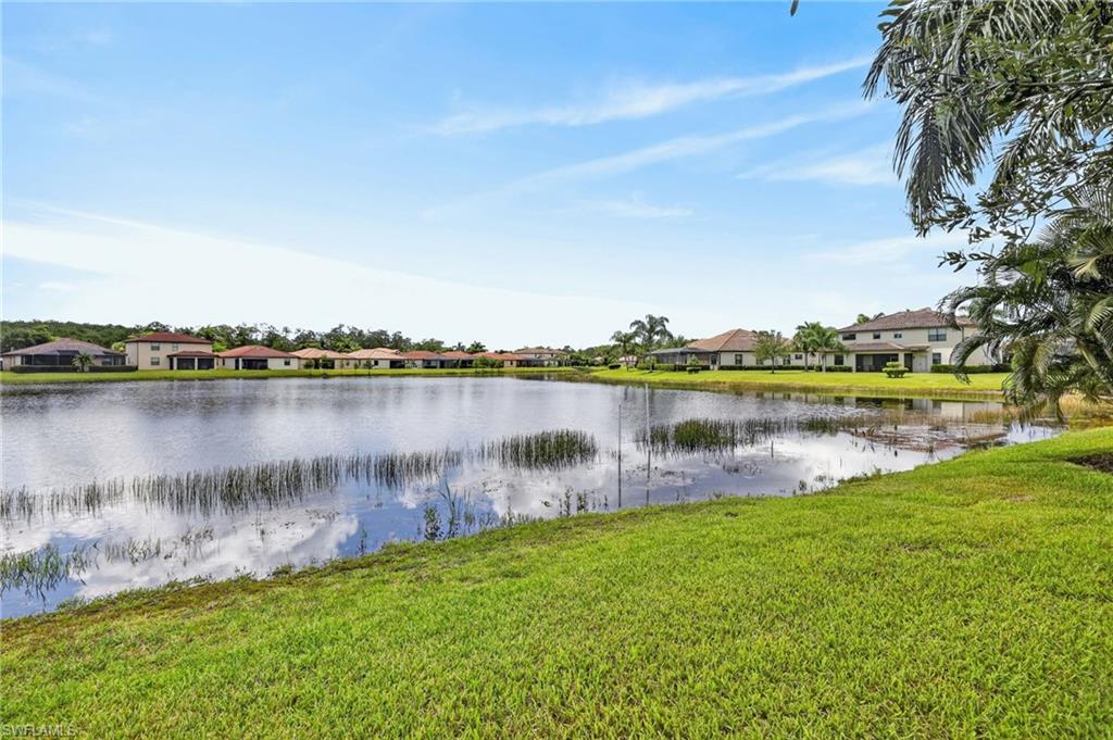 10975 Longwing Dr Property Photo 45