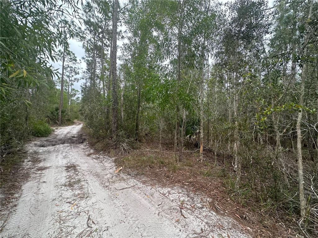 2258 Brooklawn Dr Property Photo 3